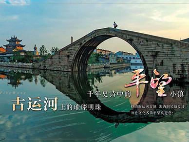 平望镇政府公司与平望镇政府深度合作，通过公众平台搭建与后期活动策划